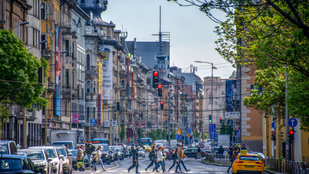 Thumbnail for 6805333