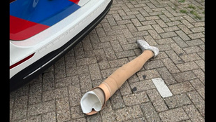 Thumbnail for 6805395