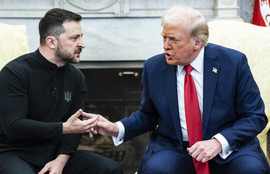 Thumbnail for 6805552