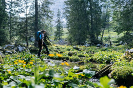 Thumbnail for 6805567