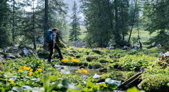 Thumbnail for 6805567