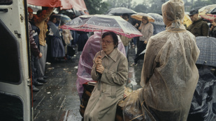 Thumbnail for 6805736