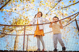 Thumbnail for 6805747