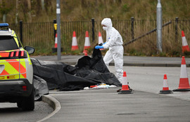 Thumbnail for 6805810