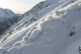 Thumbnail for 6805815