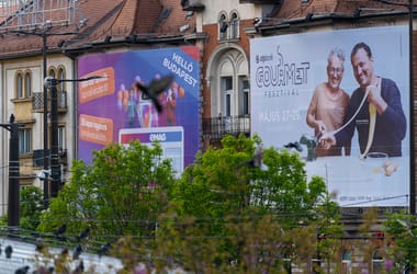 Thumbnail for 6805876