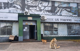 Thumbnail for 6805879