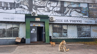 Thumbnail for 6805879