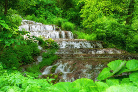 Thumbnail for 6805925