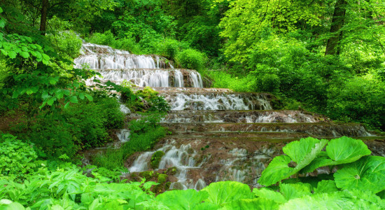 Thumbnail for 6805925