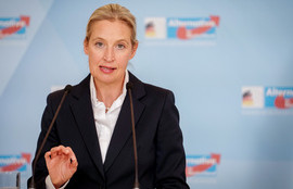 Thumbnail for 6805936