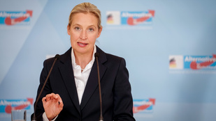 Thumbnail for 6805936