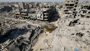 Thumbnail for 6806029