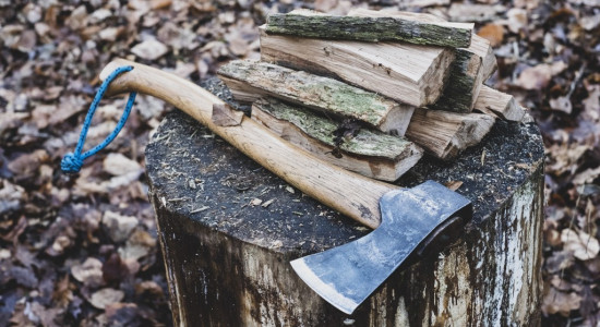 Thumbnail for 6806093