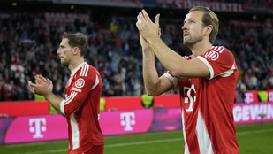 Thumbnail for 6806121