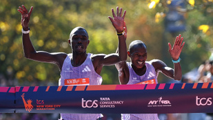 Thumbnail for 6806176