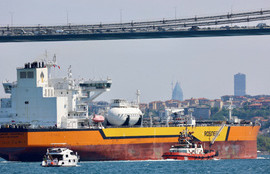 Thumbnail for 6806183