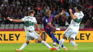 Thumbnail for 6806304