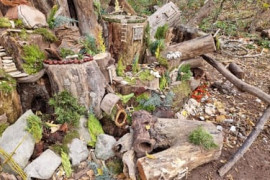 Thumbnail for 6806346