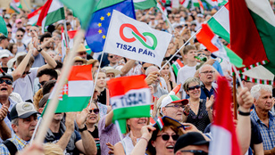 Thumbnail for 6806357