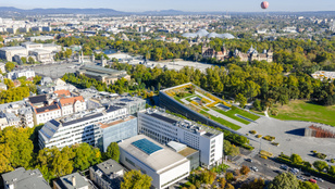 Thumbnail for 6806403