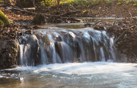 Thumbnail for 6806496