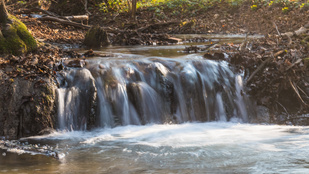 Thumbnail for 6806496