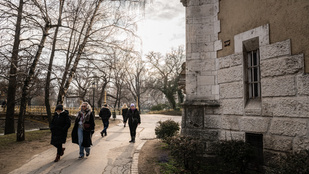 Thumbnail for 6806515