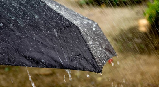 Thumbnail for 6806580