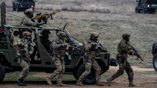 Thumbnail for 6806696