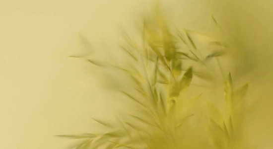 Thumbnail for 6806919