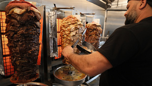 Thumbnail for 6806931