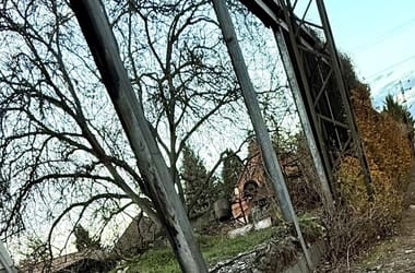 Thumbnail for 6806950