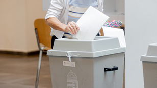 Thumbnail for 6806997