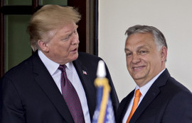 Thumbnail for 6807140