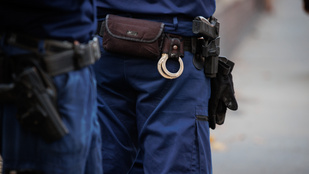 Thumbnail for 6807246