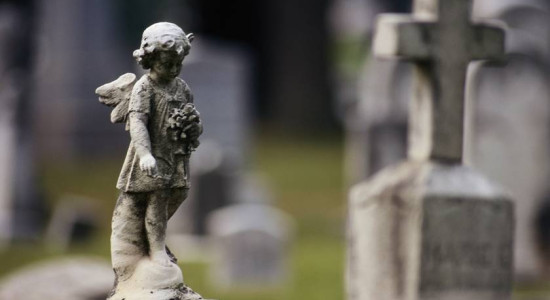 Thumbnail for 6807251