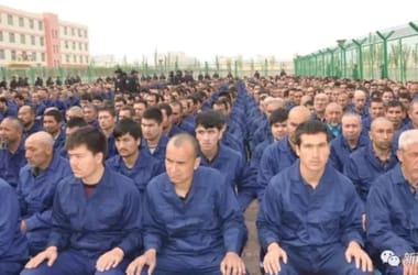 Thumbnail for 6807272