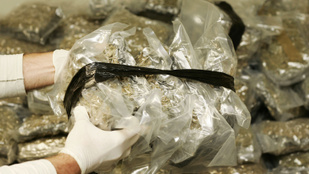 Thumbnail for 6807352