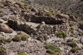 Thumbnail for 6807464