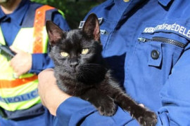 Thumbnail for 6807826