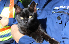 Thumbnail for 6807900