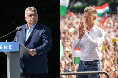 Thumbnail for 6808116