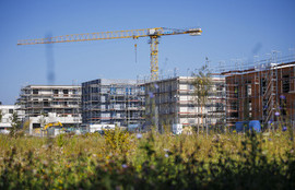 Thumbnail for 6808297