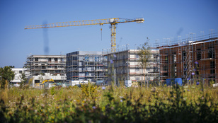 Thumbnail for 6808297