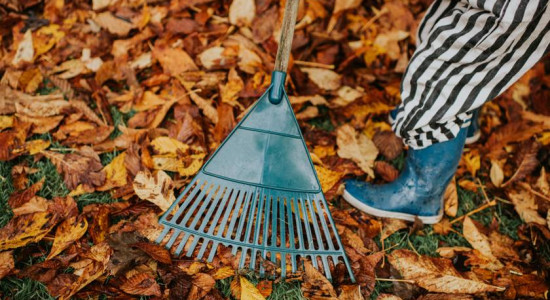 Thumbnail for 6808411