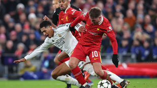 Thumbnail for 6808435