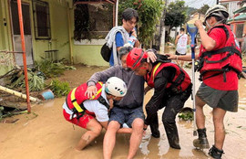 Thumbnail for 6808566