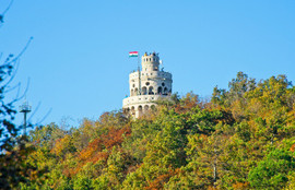 Thumbnail for 6808794