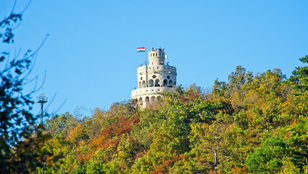 Thumbnail for 6808794